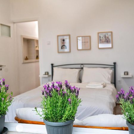 Lux Garden Apartment Near Acropolis In The Heart Of Athens Atenas Exterior foto