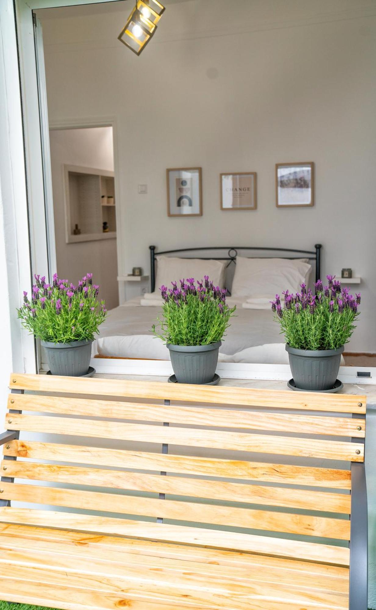 Lux Garden Apartment Near Acropolis In The Heart Of Athens Atenas Exterior foto