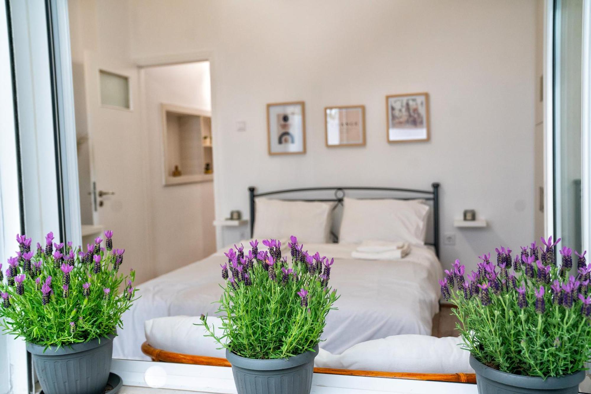 Lux Garden Apartment Near Acropolis In The Heart Of Athens Atenas Exterior foto